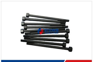 Perno PEEK M6 x 65
